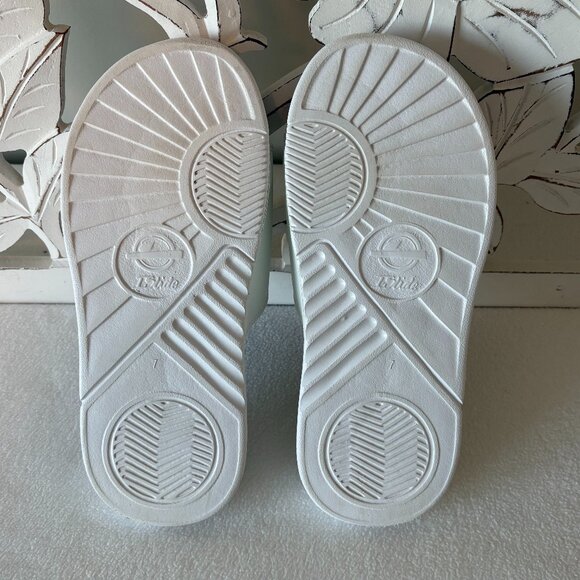 I Slide University of Tennessee Slides - Picture 3 of 6